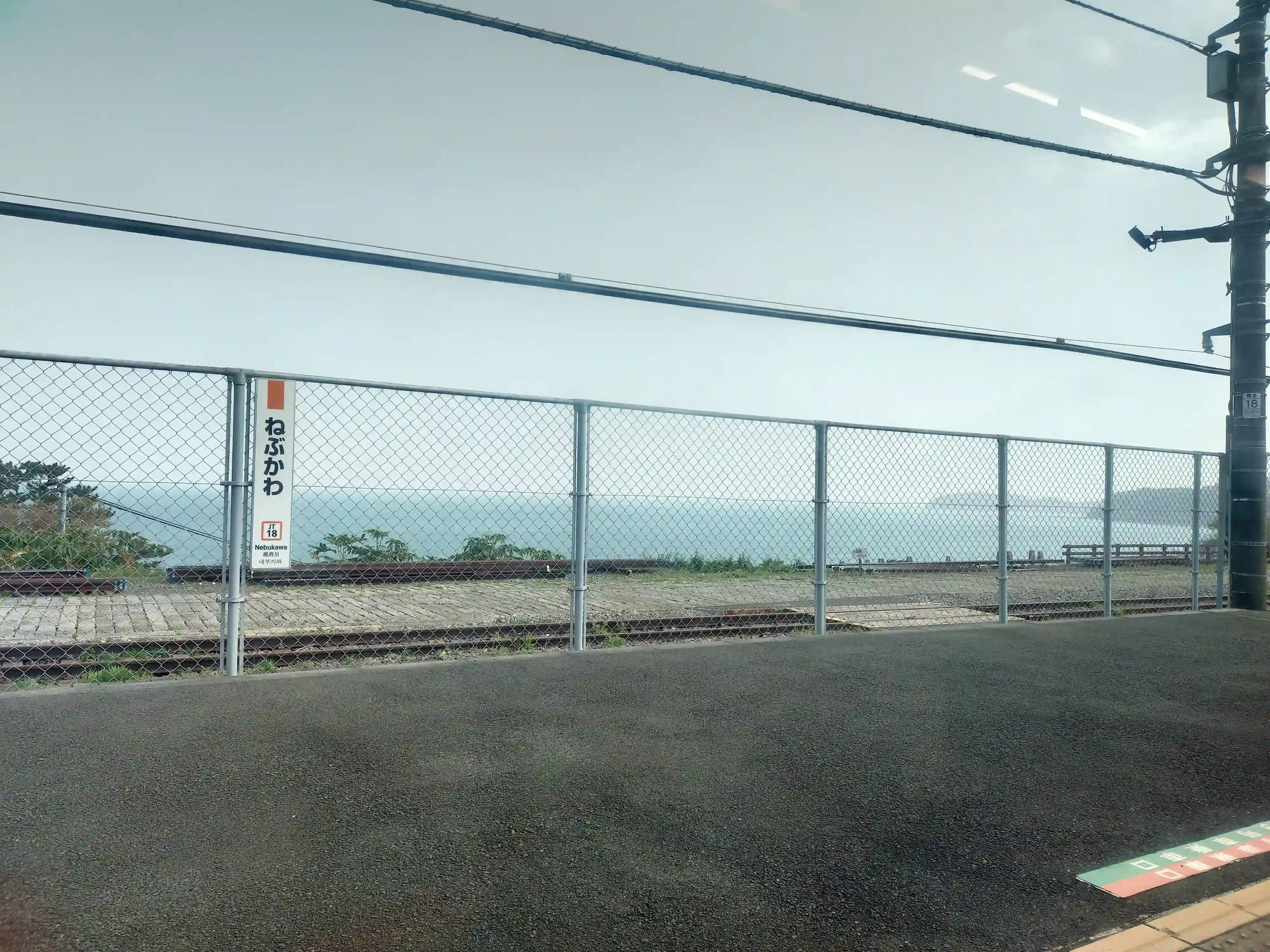 太平洋が見えた