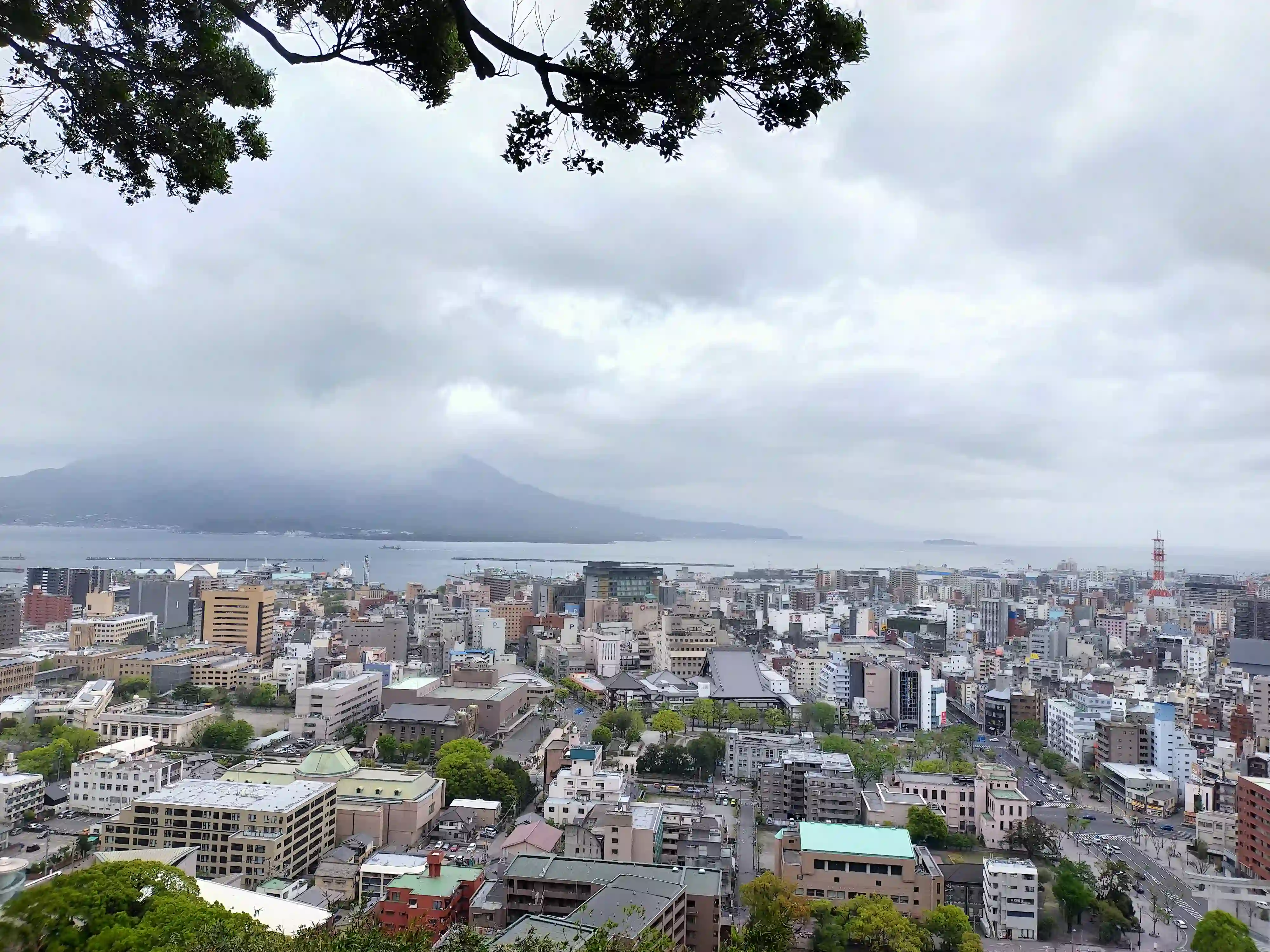 城山公園展望台から桜島を眺める